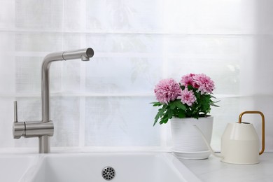 Pot with beautiful chrysanthemum and watering can on white countertop in kitchen