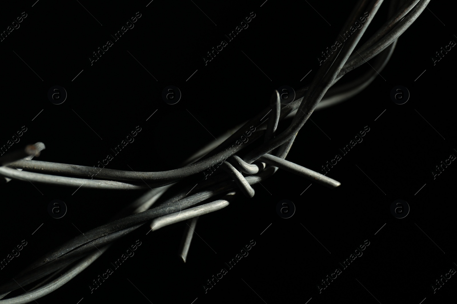 Photo of Metal barbed wire on black background, closeup