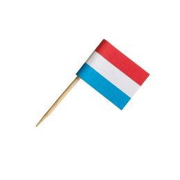 Small paper flag of Netherlands isolated on white