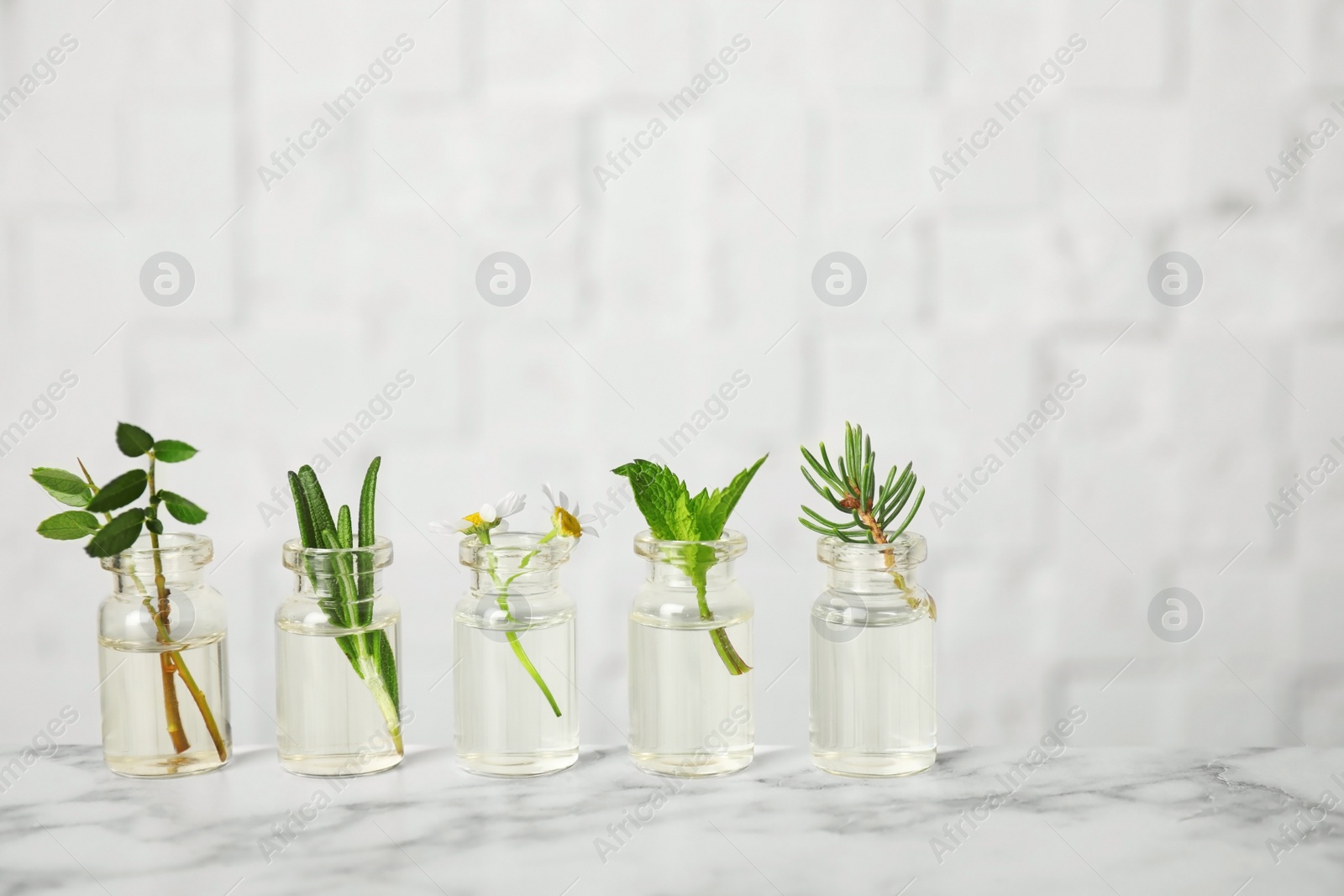 Photo of Glass bottles of different essential oils with plants on table