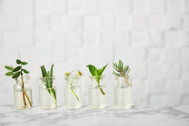 Glass bottles of different essential oils with plants on table