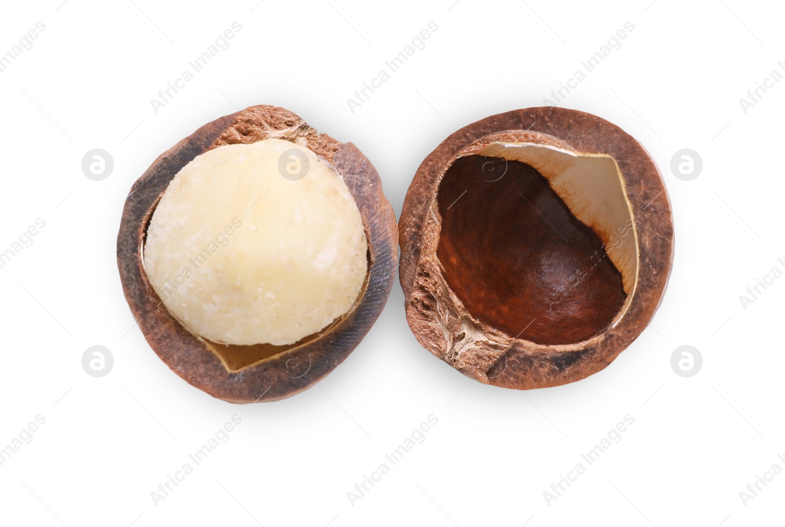 Photo of Halves of delicious organic Macadamia nut isolated on white, top view