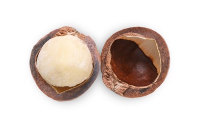 Photo of Halves of delicious organic Macadamia nut isolated on white, top view