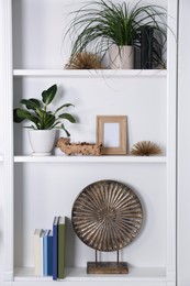 Photo of White shelving unit with houseplants and different decor elements in room. Interior design