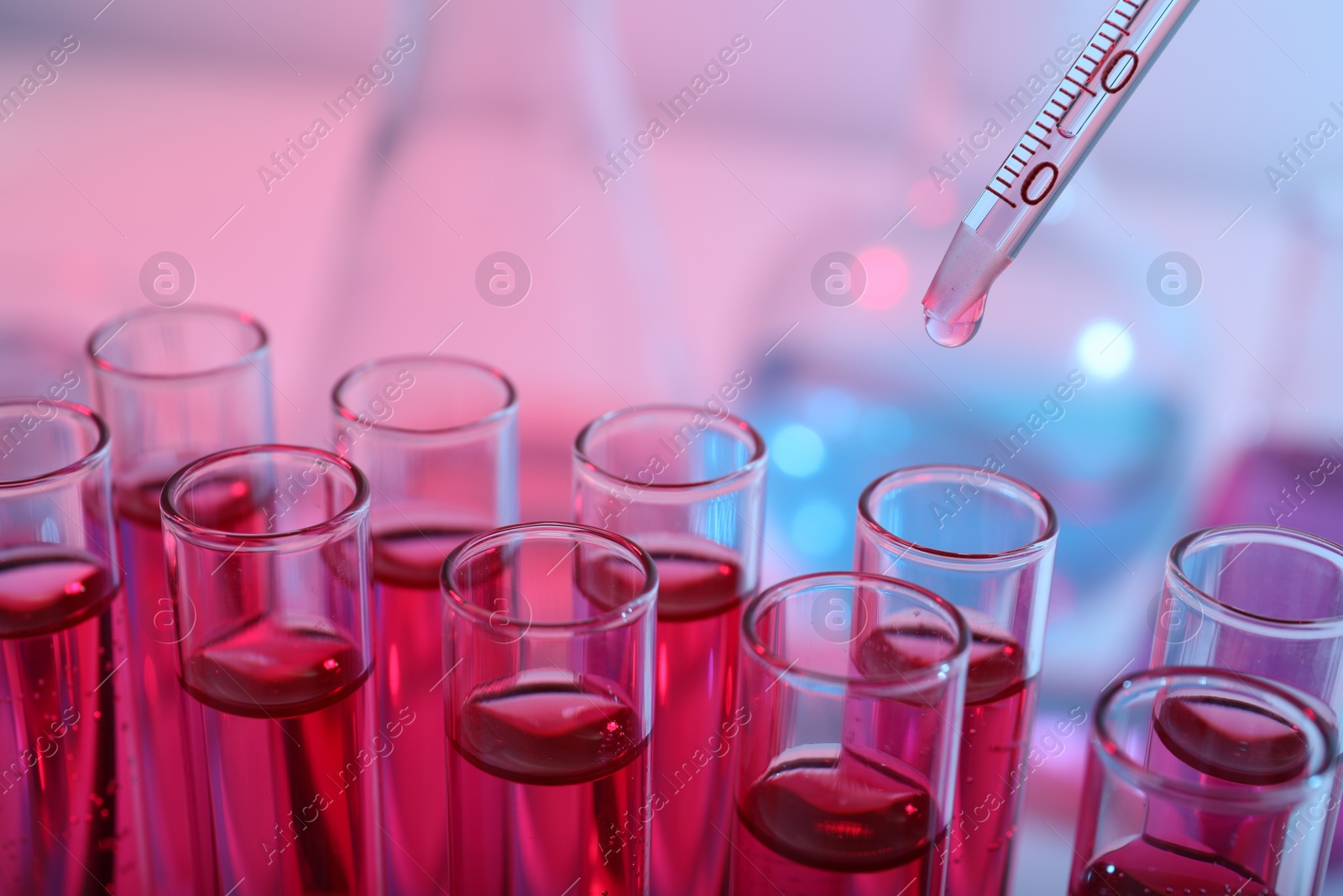 Photo of Dripping reagent into test tube with red liquid, closeup. Laboratory analysis