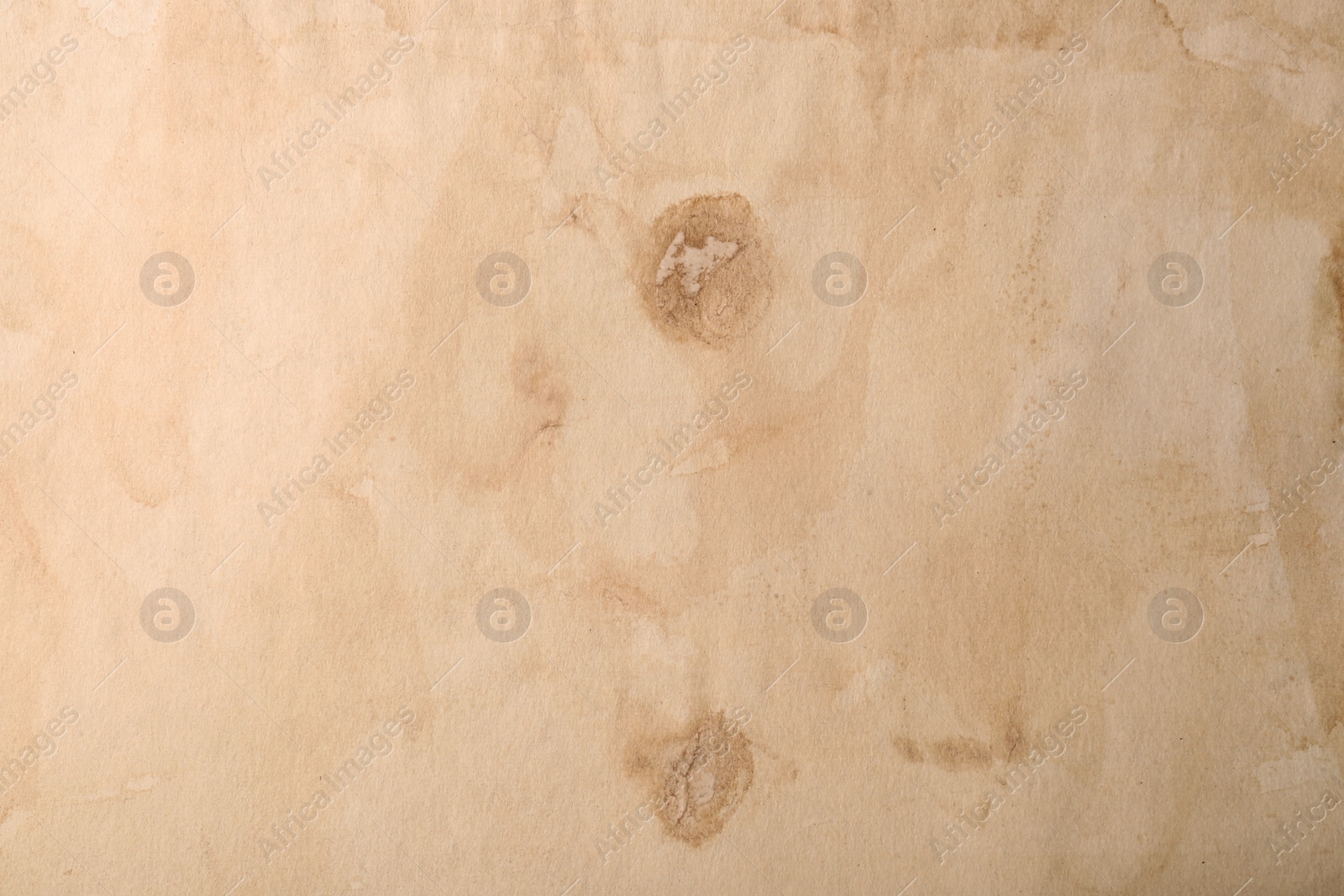 Photo of Sheet of old parchment paper as background, top view