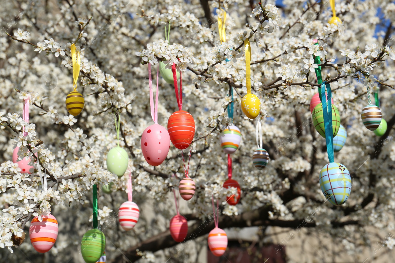 Photo of Beautifully painted Easter eggs hanging on blooming cherry tree outdoors