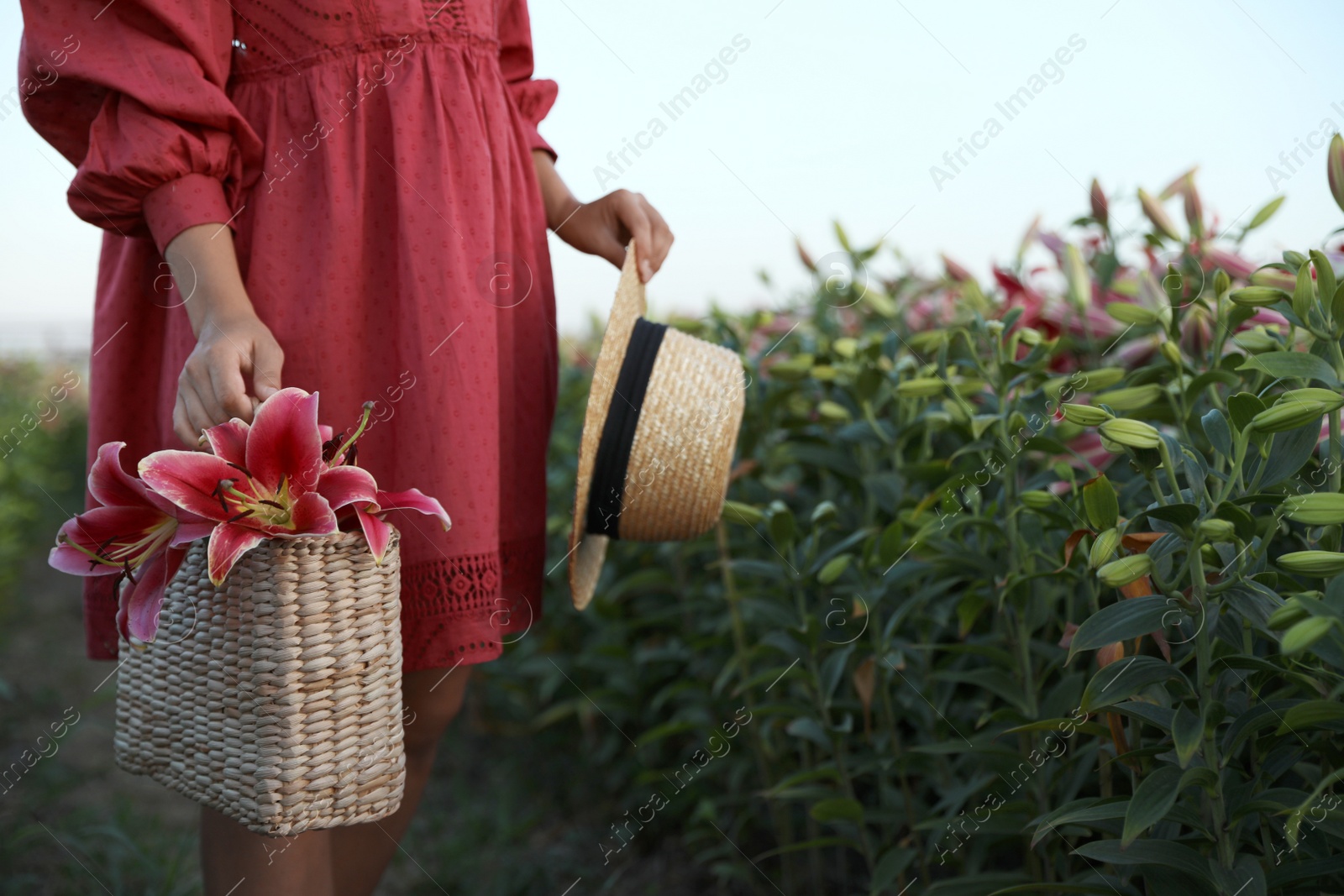 Photo of Young woman in beautiful lily field, closeup. Space for text