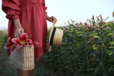Young woman in beautiful lily field, closeup. Space for text