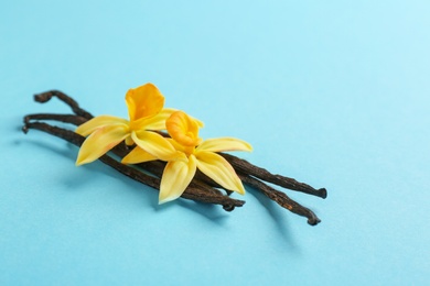 Photo of Vanilla sticks and flowers on blue background. Space for text