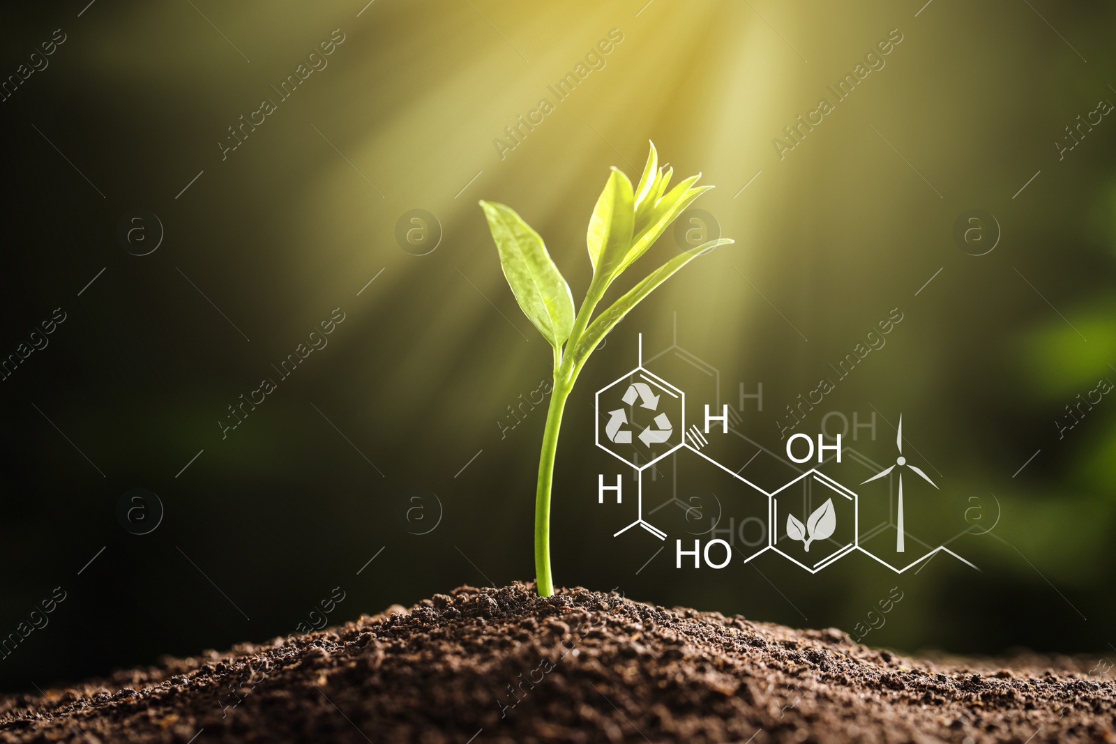 Image of Illustration of chemical formula and young seedling growing in soil outdoors, closeup