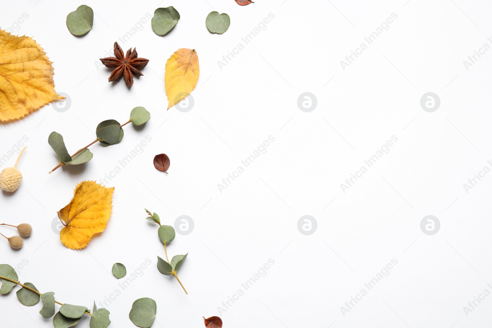 Photo of Flat lay composition with autumn leaves and space for text on white background