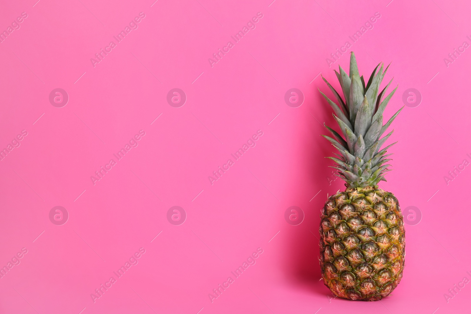 Photo of Whole ripe pineapple on pink background, space for text
