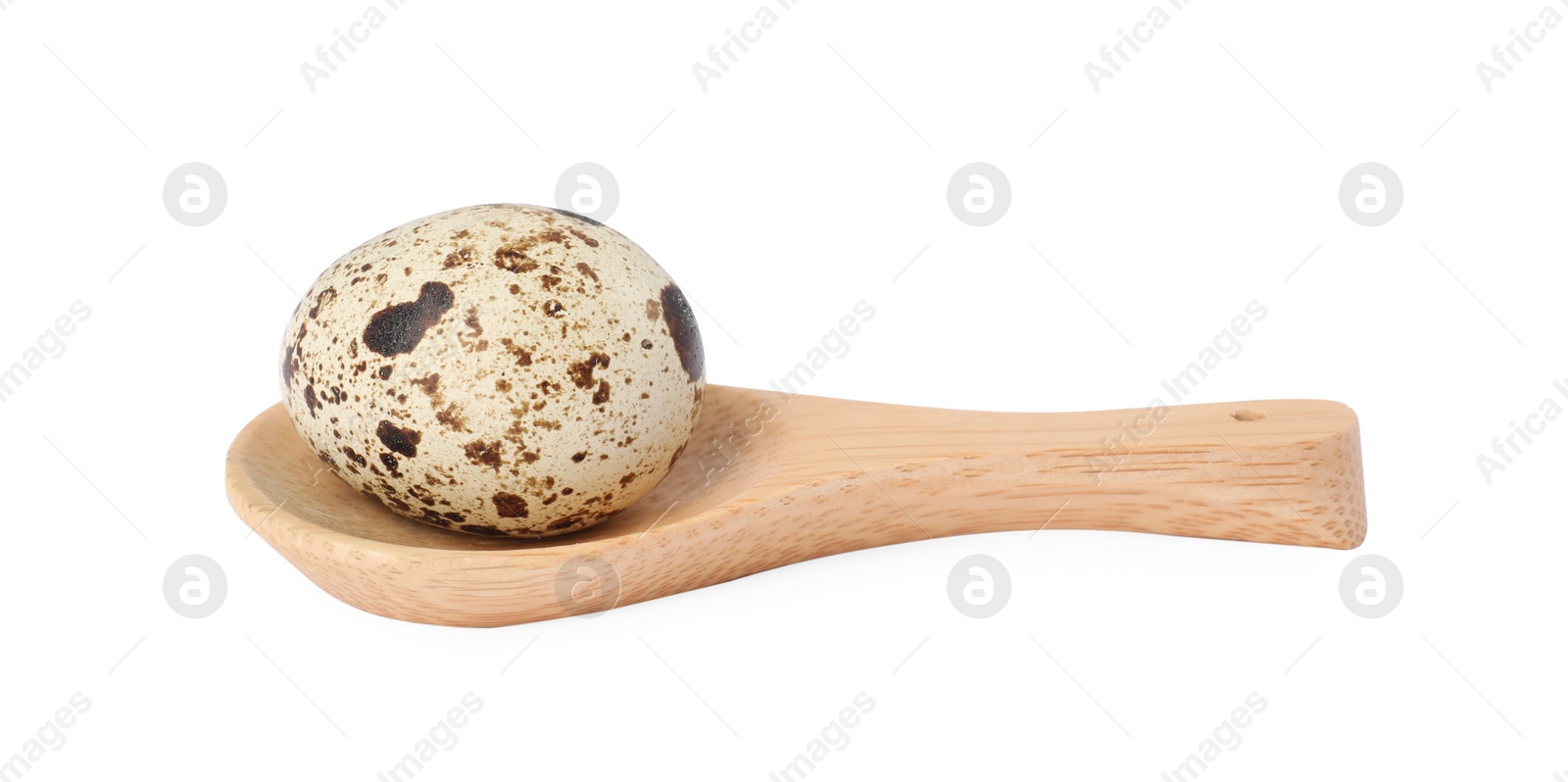 Photo of Wooden spoon with quail egg isolated on white