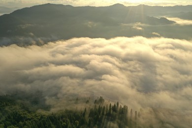 Photo of Aerial view of beautiful mountains covered with fluffy clouds on sunny day