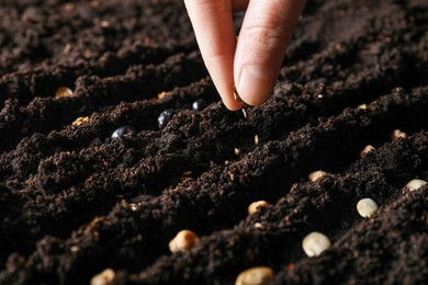 Photo of Woman planting vegetable seeds into fertile soil, closeup