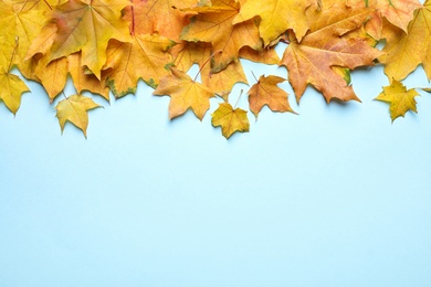 Photo of Pile of autumn leaves on blue background, top view. Space for text