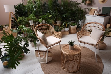 Photo of Room interior with stylish furniture and different houseplants
