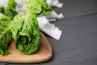 Photo of Fresh green romaine lettuces on grey wooden table, space for text