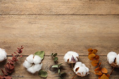 Fluffy cotton flowers and green autumn leaves on wooden table, flat lay. Space for text