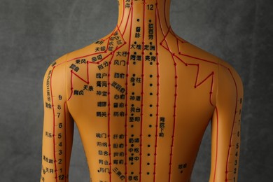 Photo of Acupuncture model. Mannequin with dots and lines on dark grey background, back view