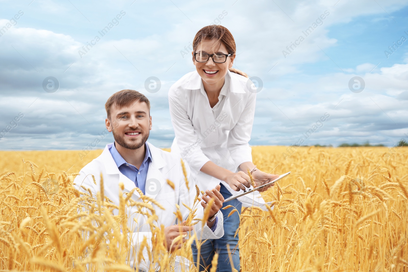 Photo of Young agronomists in grain field. Cereal farming