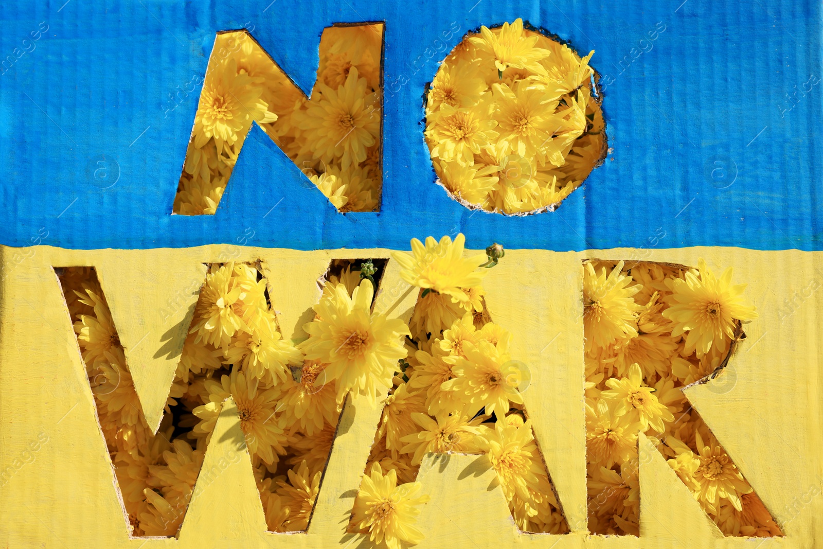 Photo of Poster in colors of Ukrainian flag with words No War and beautiful yellow flowers, top view