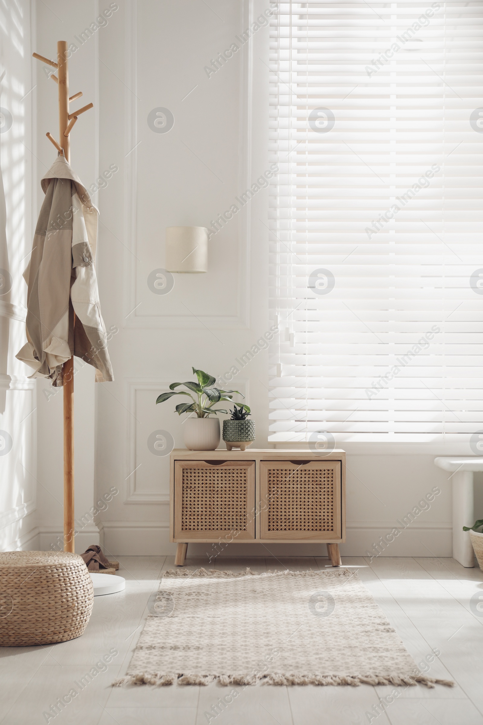 Photo of Stylish room interior with wooden chest of drawers and green plants
