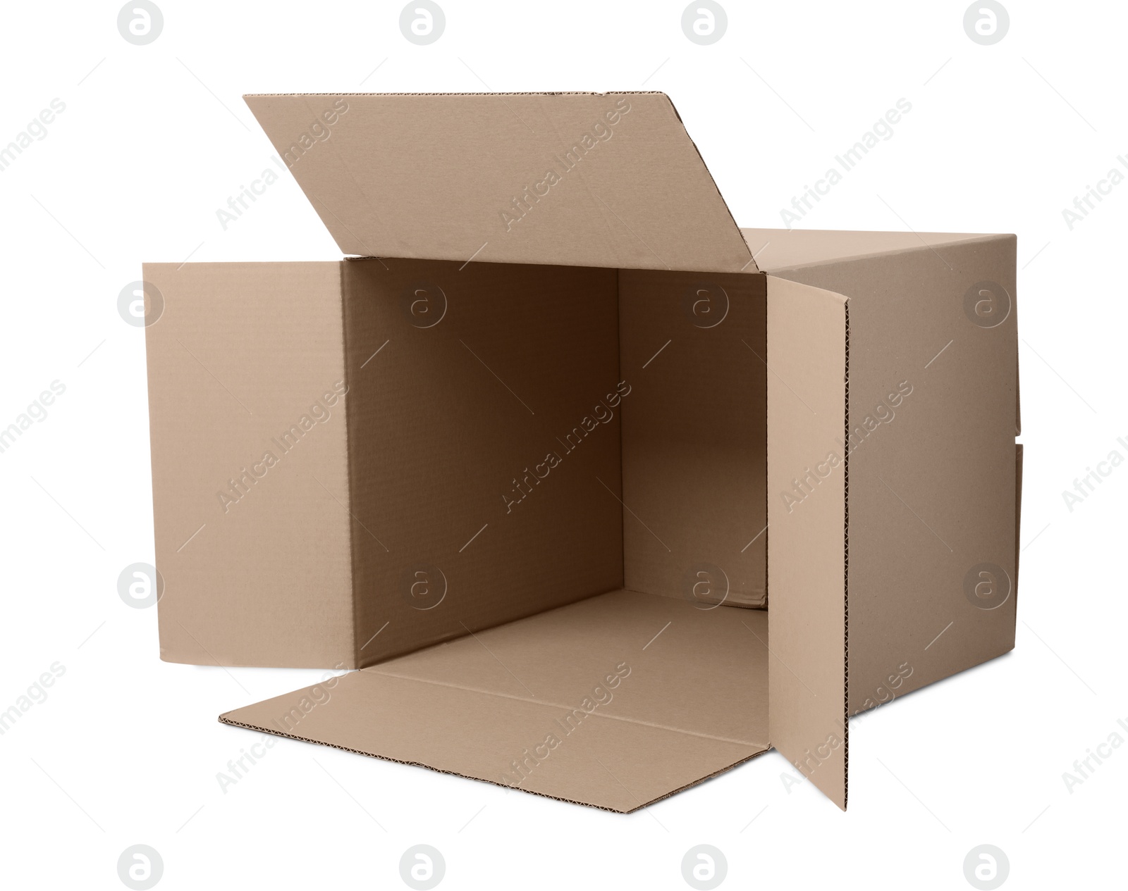 Photo of Open empty cardboard box isolated on white