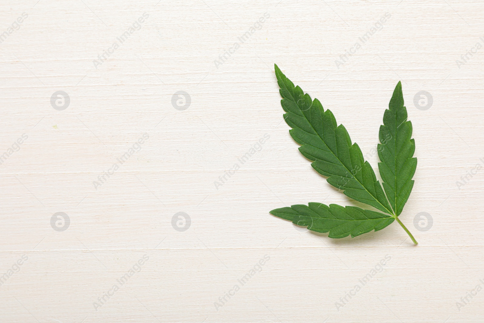 Photo of Fresh green hemp leaf on white wooden table, top view. Space for text