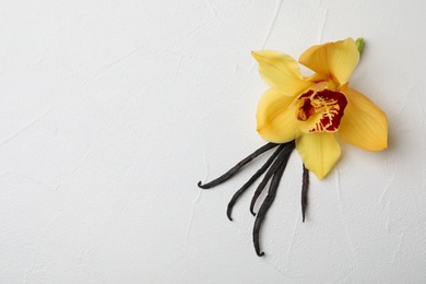 Beautiful vanilla flower and sticks on light background