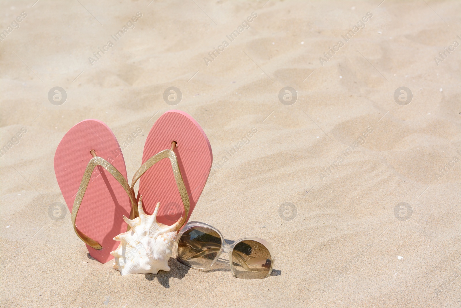 Photo of Stylish pink flip flops, sunglasses and seashell on sandy beach, space for text