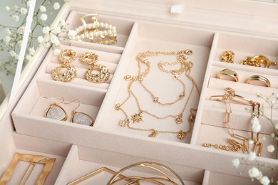 Photo of Different elegant bijouterie in pink jewelry box, closeup