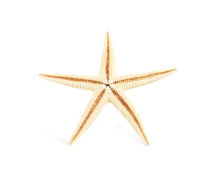 Beautiful starfish on white background. Beach object