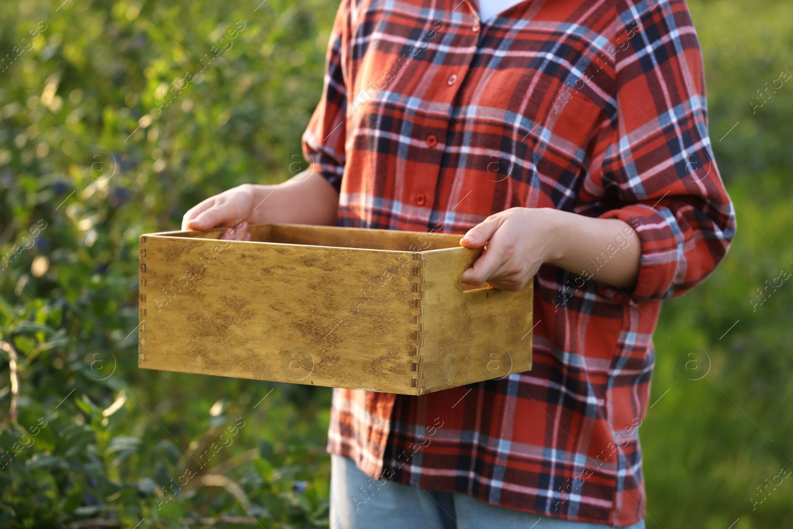 Photo of Woman holding wooden box outdoors, closeup view