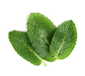 Wet leaves of fresh mint isolated on white, top view