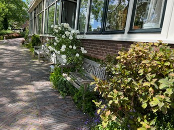 City street with beautiful buildings, benches and plants