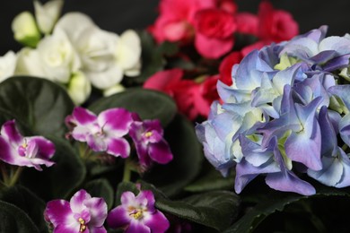 Photo of Many beautiful colorful flowers on blurred background, closeup. Space for text