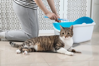 Photo of Woman cleaning cat litter tray in bathroom, closeup