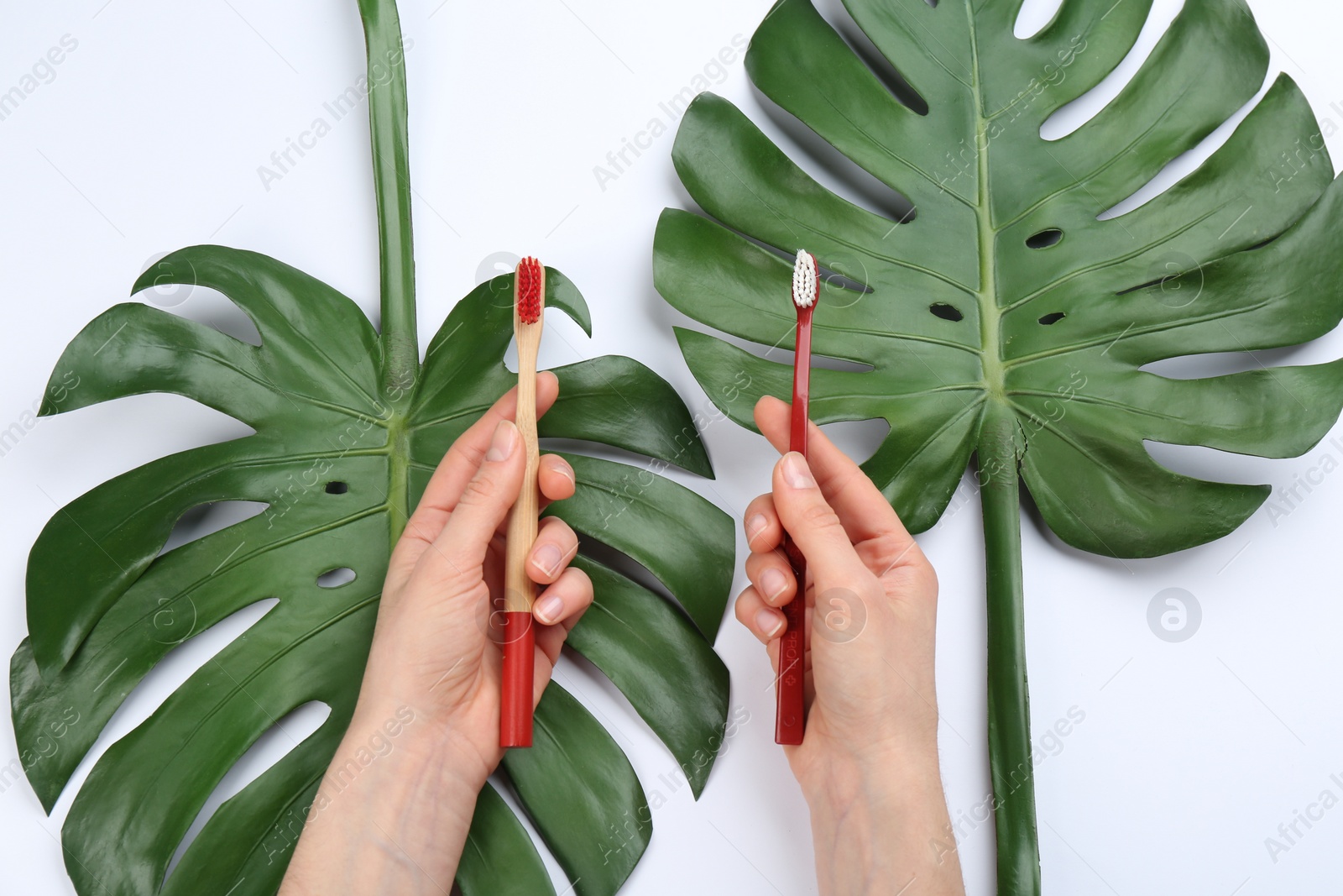 Photo of Woman holding natural bamboo and plastic toothbrushes above tropical leaves on white background, top view