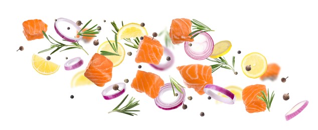 Image of Pieces of delicious fresh raw salmon and different spices on white background. Banner design 