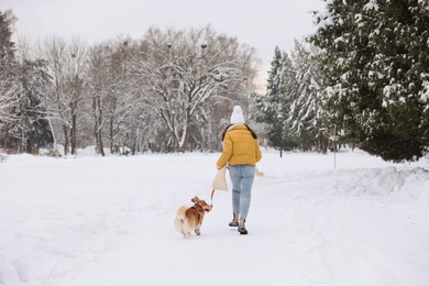 Woman with adorable Pembroke Welsh Corgi dog running in snowy park, back view
