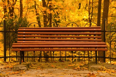 Photo of Wooden bench and yellowed leaves in park on sunny day