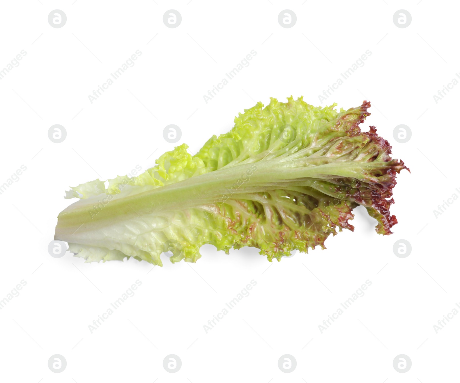 Photo of Leaf of fresh red coral lettuce isolated on white, top view