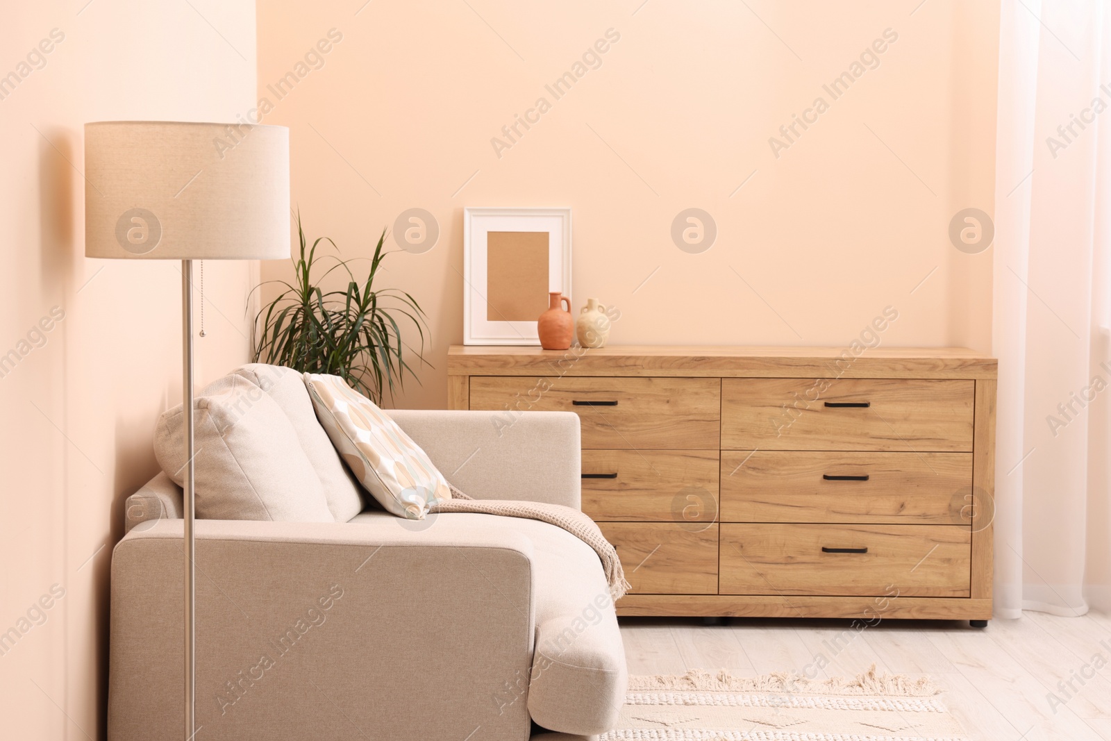 Photo of Stylish sofa and chest of drawers in living room. Interior design