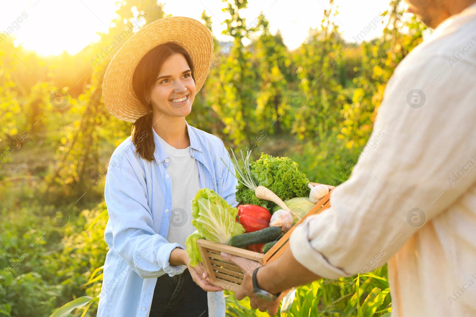 Photo of Woman and man harvesting different fresh ripe vegetables on farm