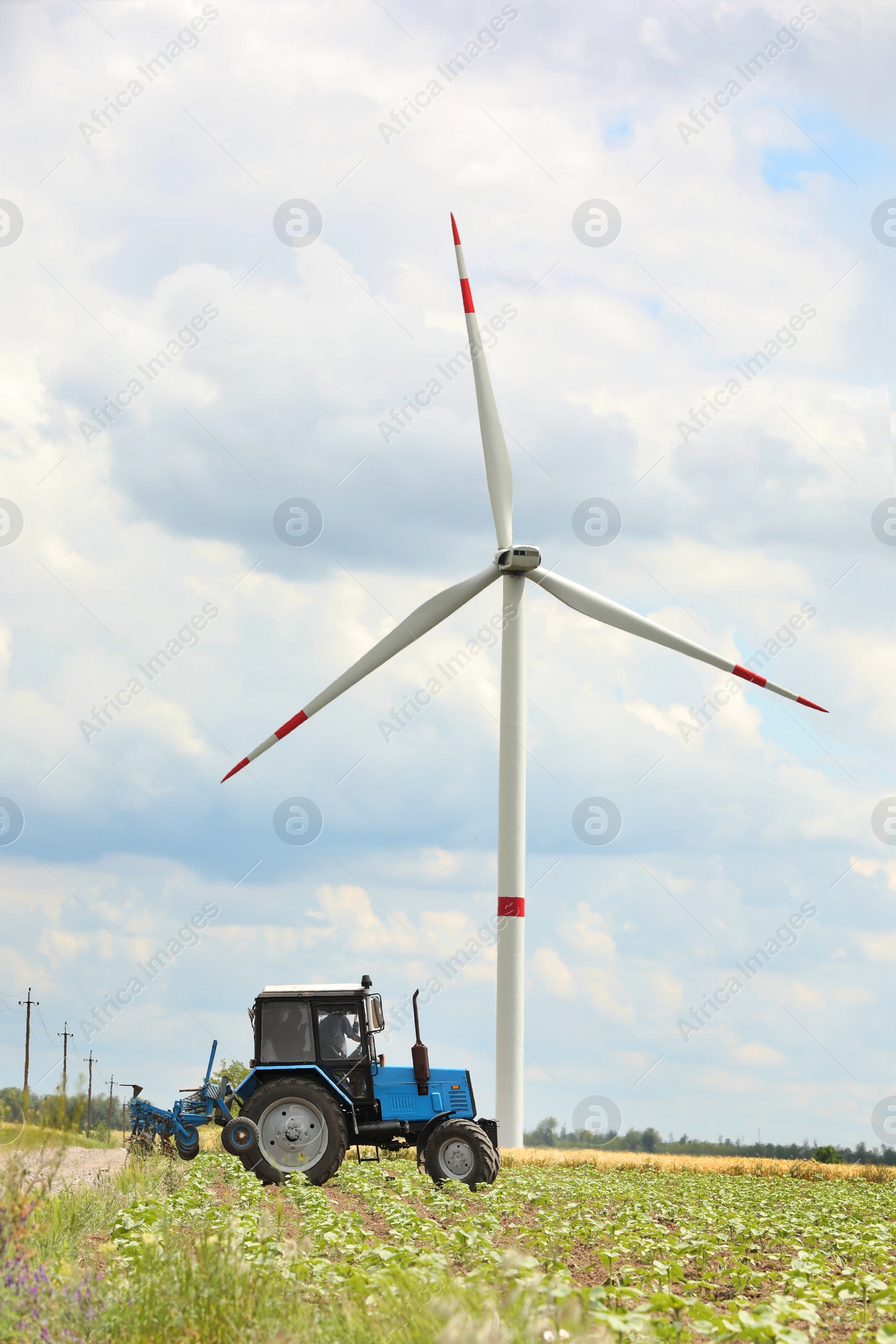 Photo of Modern tractor cultivating field of ripening sunflowers. Agricultural industry