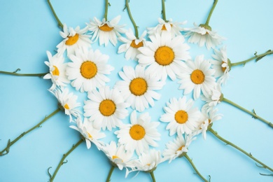 Heart made of beautiful chamomile flowers on color background