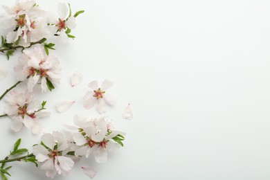 Photo of Spring tree branches with beautiful blossoms on white background, flat lay. Space for text