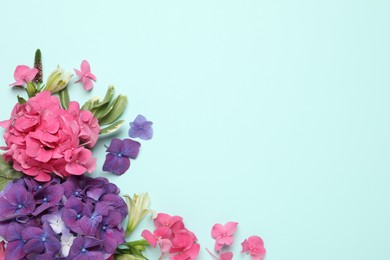 Photo of Beautiful hortensia flowers on turquoise background. Space for text